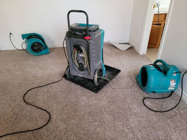 Best Water damage cleanup near me  in Panorama Village, TX