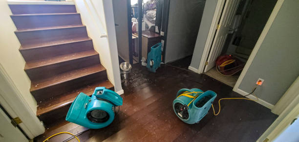 Best Flood restoration services  in Panorama Village, TX