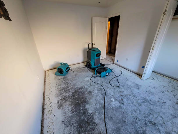 Local water damage restoration in Panorama Village, TX