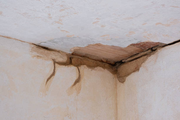 Best Local water damage restoration  in Panorama Village, TX