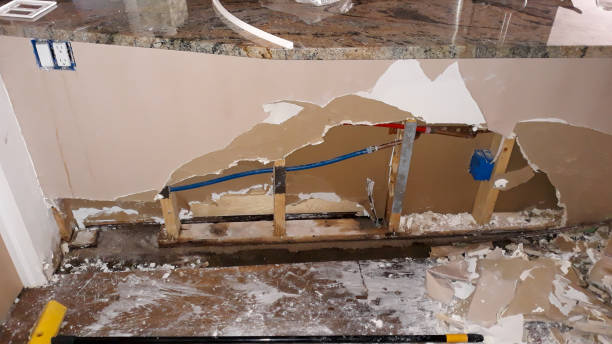 Best Water damage restoration experts  in Panorama Village, TX