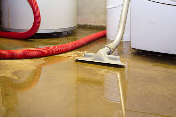 Best 24-hour water damage restoration  in Panorama Village, TX