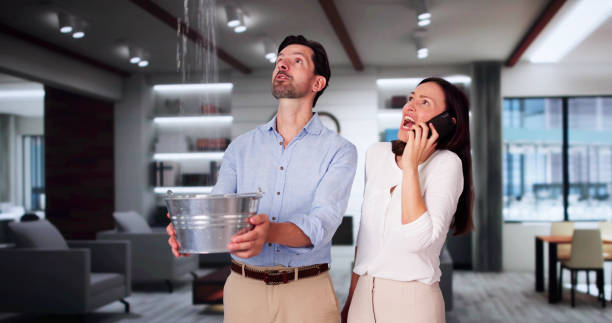 Best Water damage restoration cost  in Panorama Village, TX